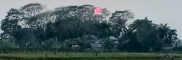 Anmonty Profile Banner