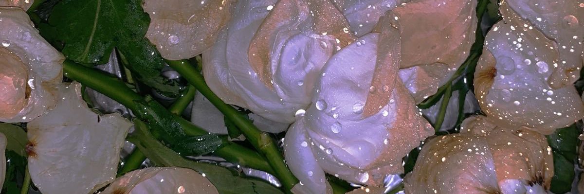 penrosesolitaire banner