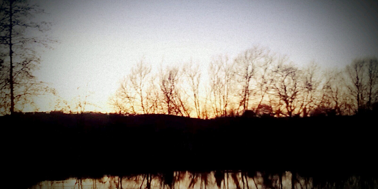 Mikee Annesley banner