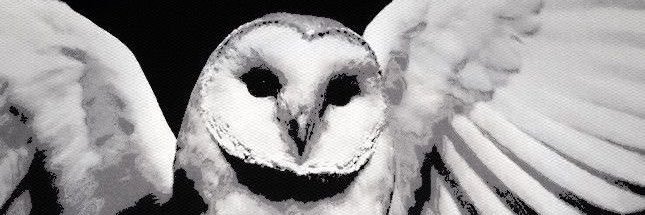 h3llschild's profile banner image