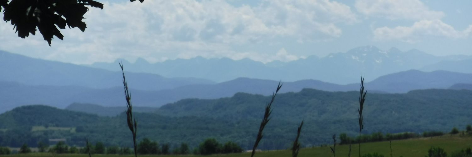 scotspilgrim's profile banner image
