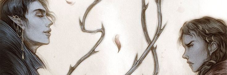 anna💐✨️ banner