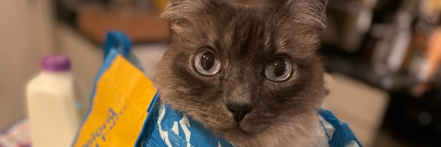 Christine Comey Lewis banner