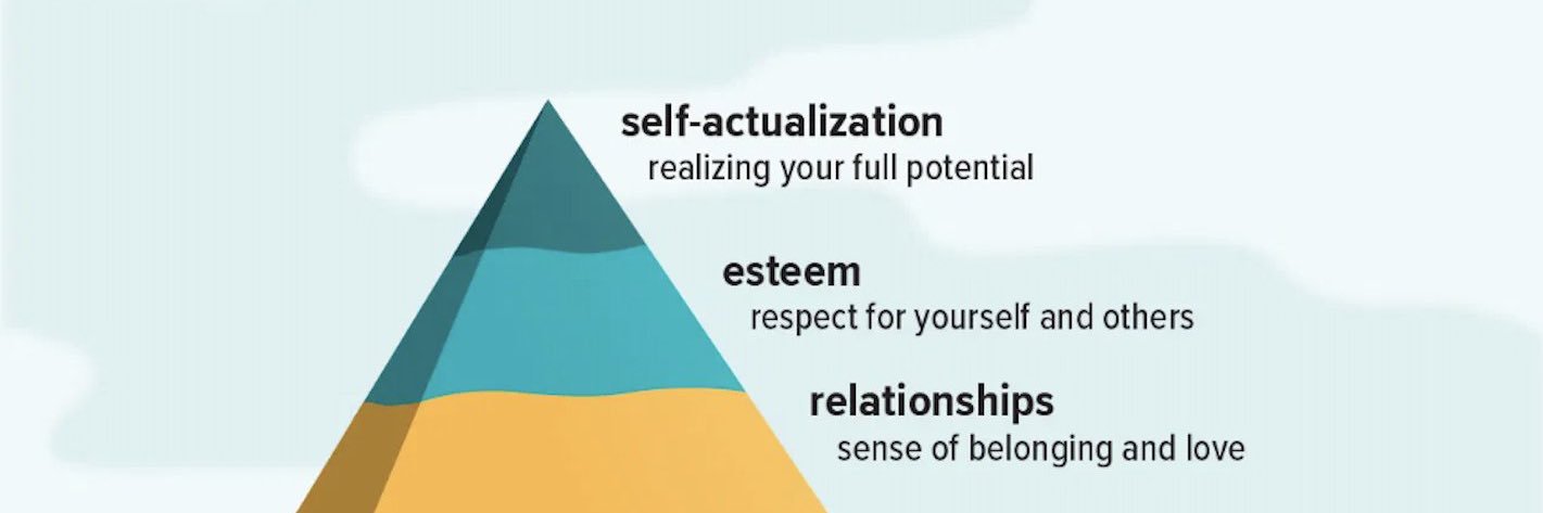 Dr Bipin Batra banner