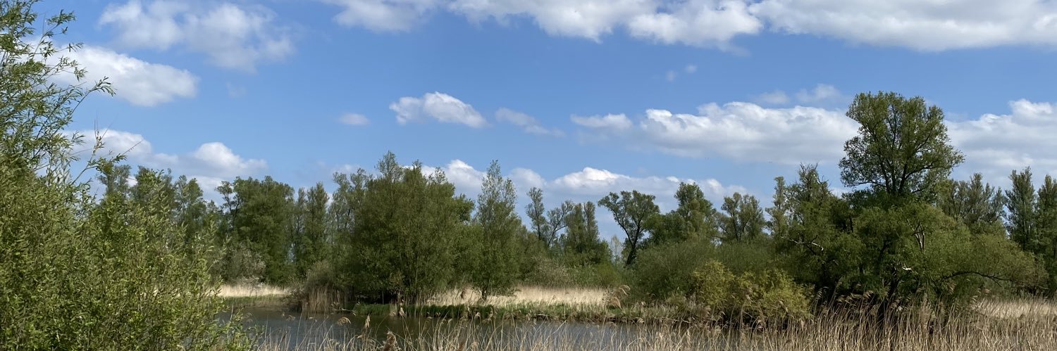 marcodeheus's profile banner image