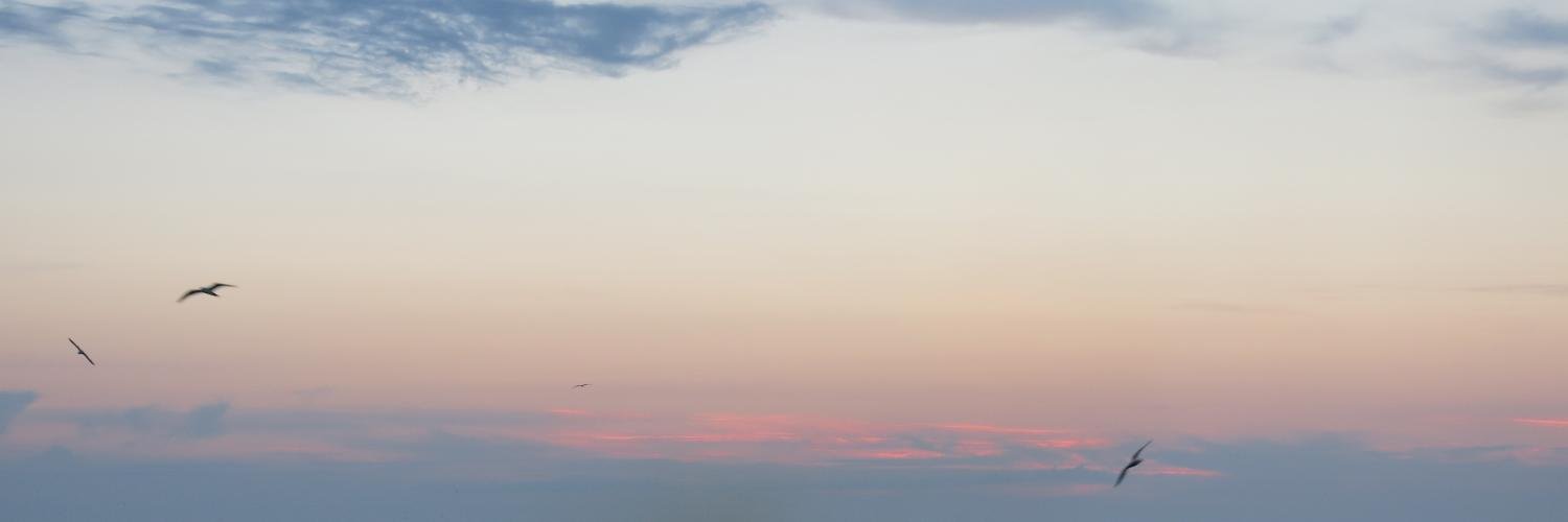Maitta28's profile banner image