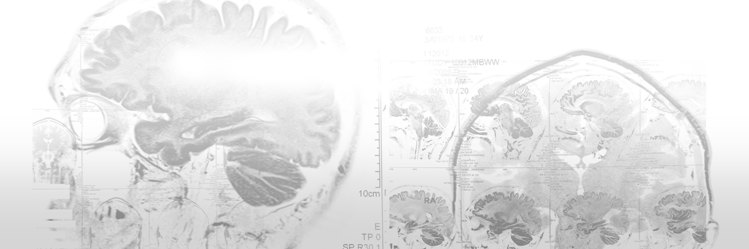 noisecreep's profile banner image