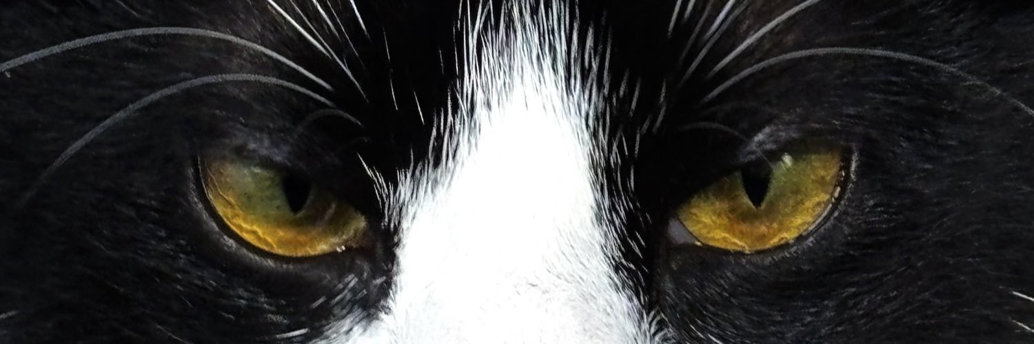 xofvrah's profile banner image
