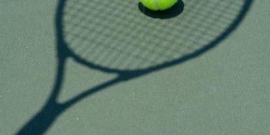 michelle mottram banner