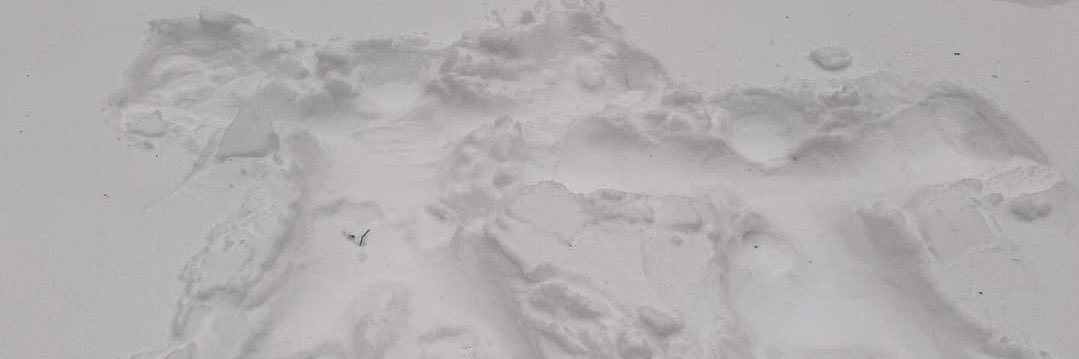 NONGYERIN 🐥 banner