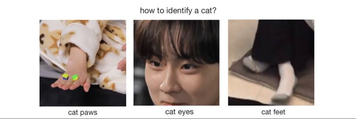 venus ⚢ ENHYPEN IS 7 ! banner