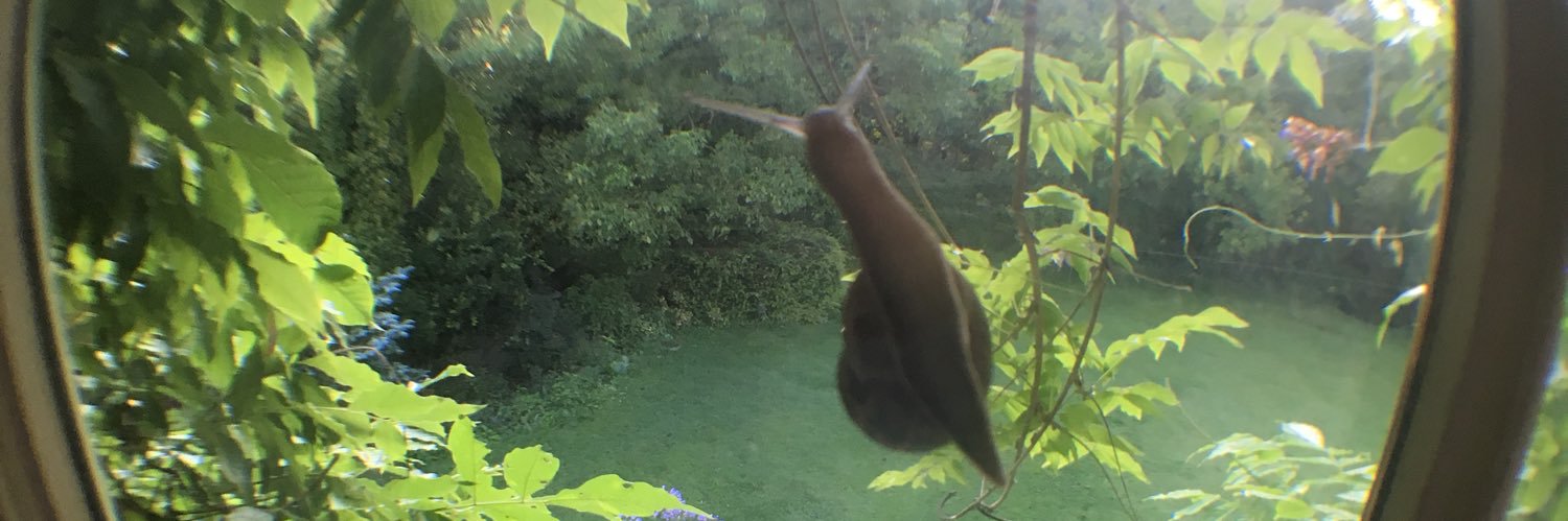 Anthony Stewart Head 💙 banner