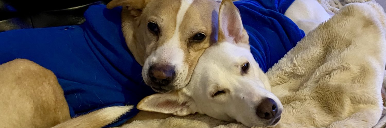 Khrista Cornelson banner