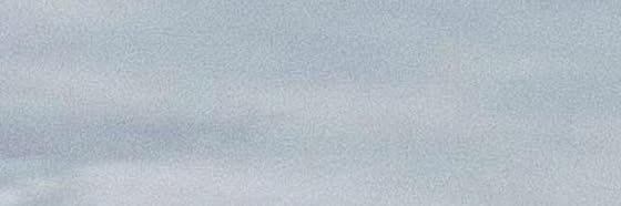 yang banner
