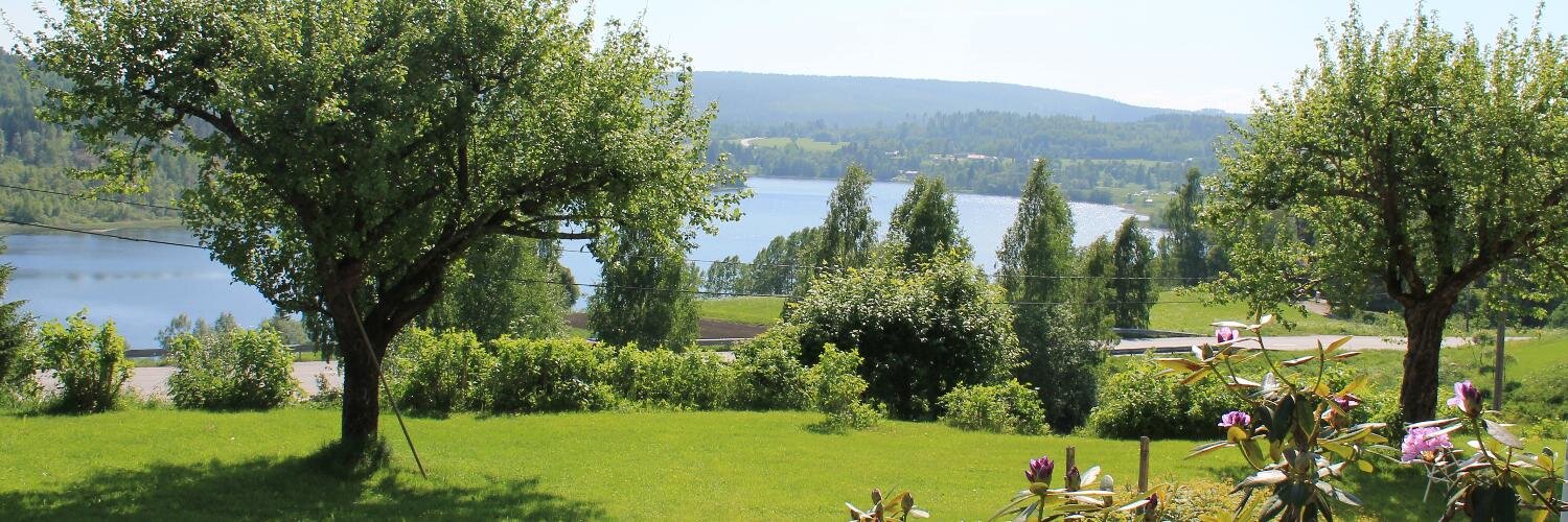 erikhamrin's profile banner image