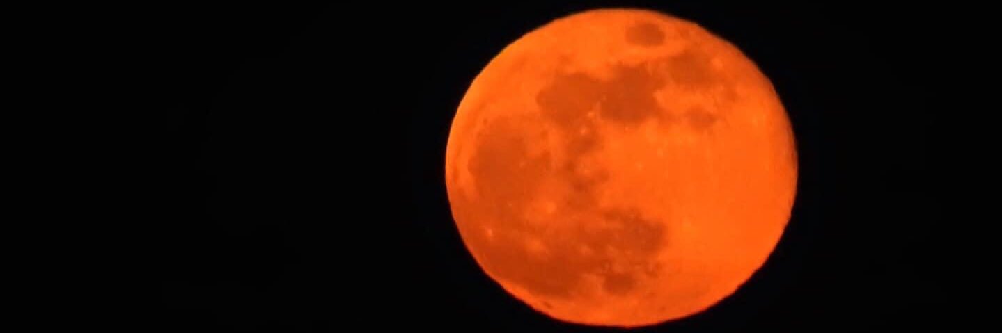 Bamboo 🇨🇦 banner