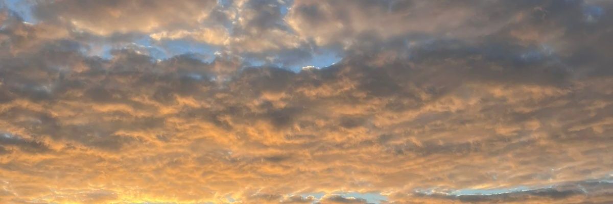 Deiko banner