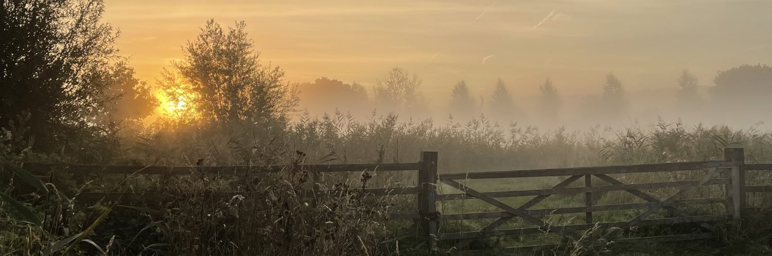 haleweb's profile banner image