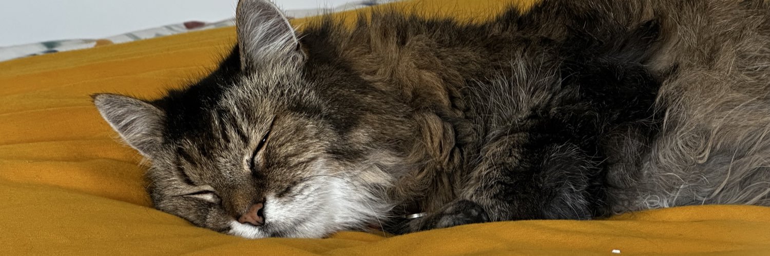UKLisaW's profile banner image