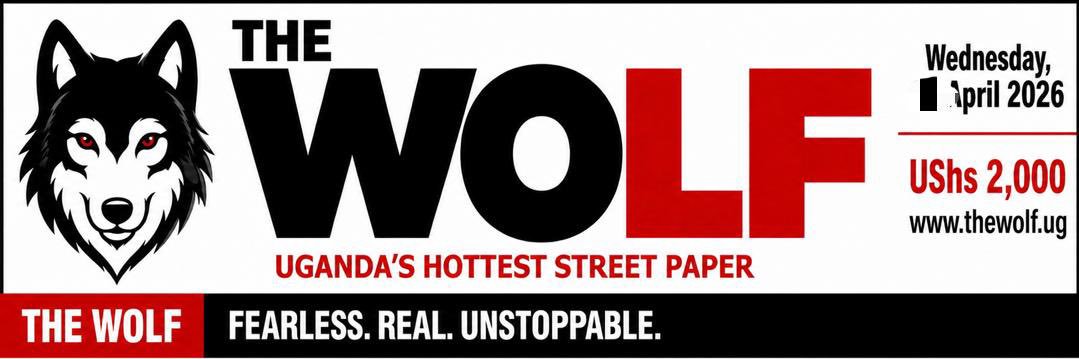 Mr Wolf banner