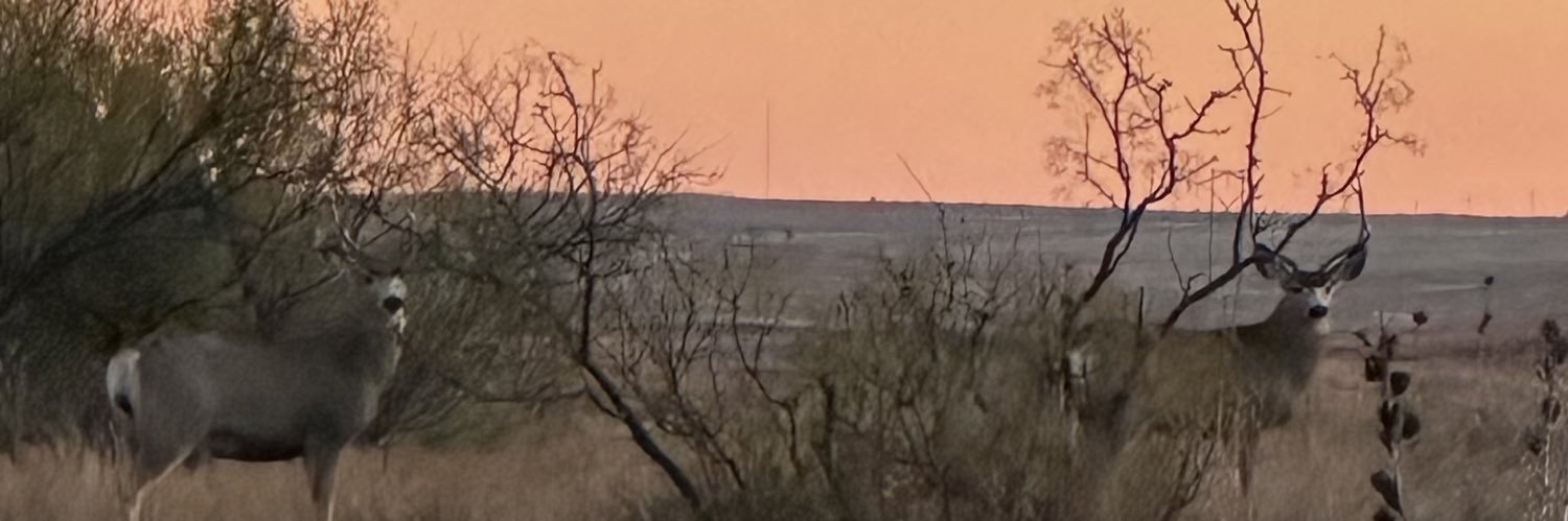 Sendero banner