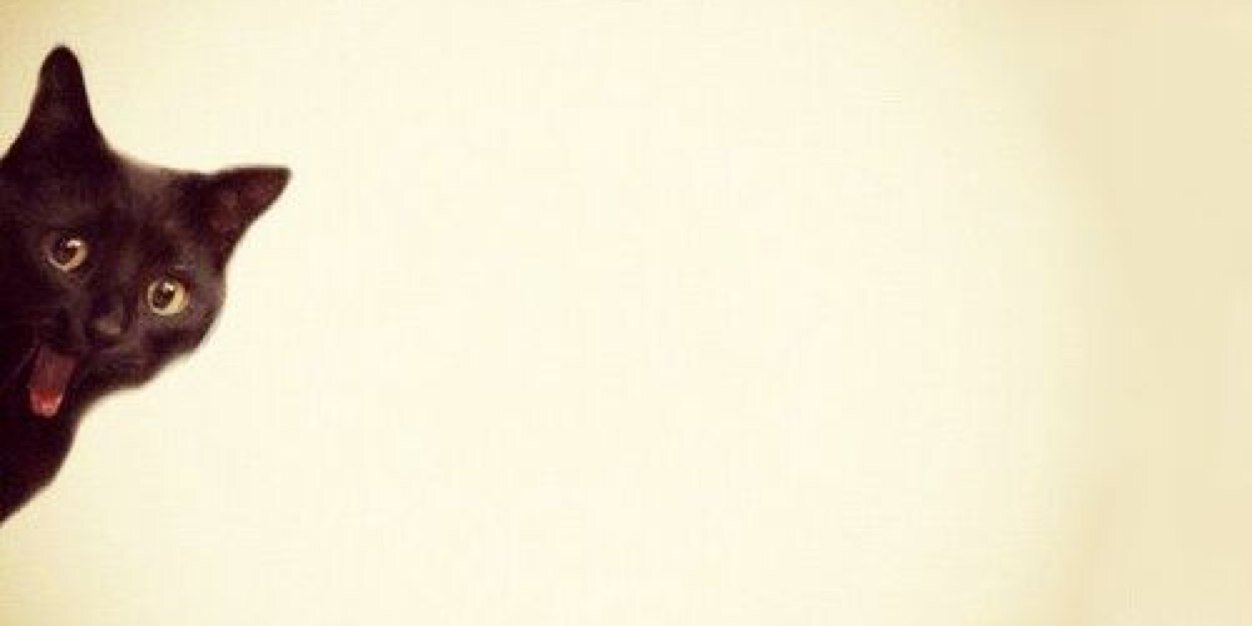 pradosgui's profile banner image