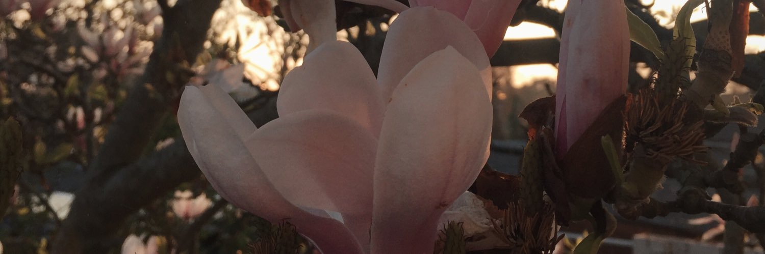 MissKeeek's profile banner image