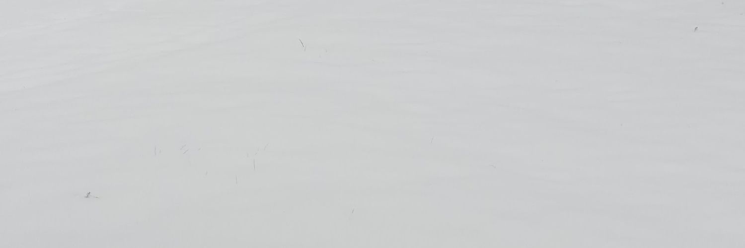 william Rogers banner