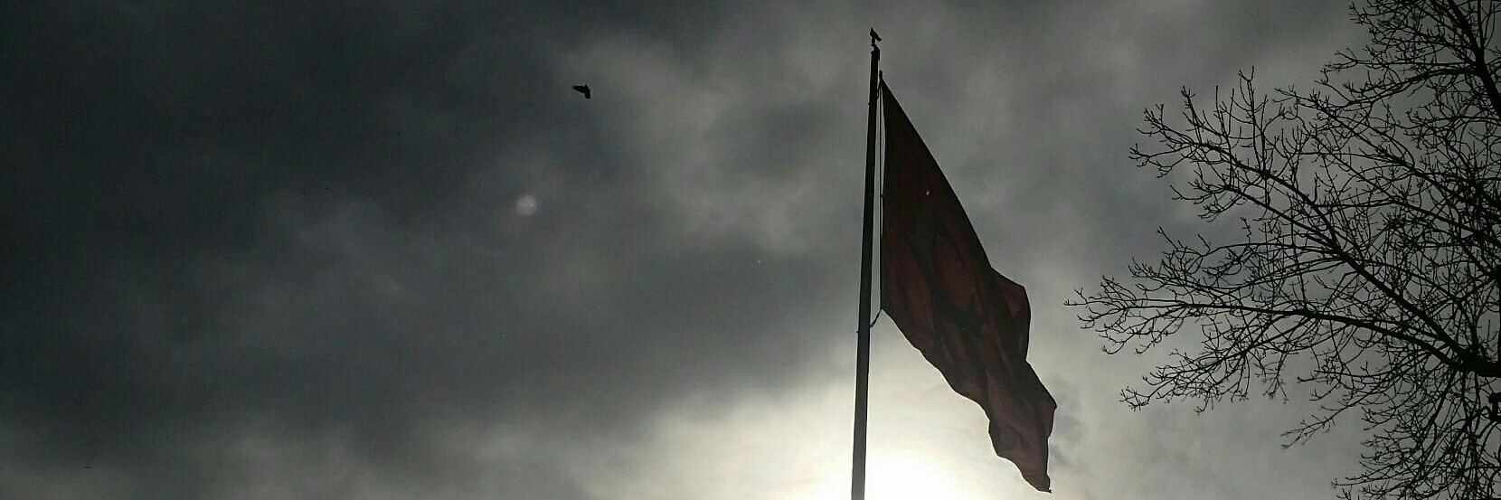 FeyzaMine's profile banner image