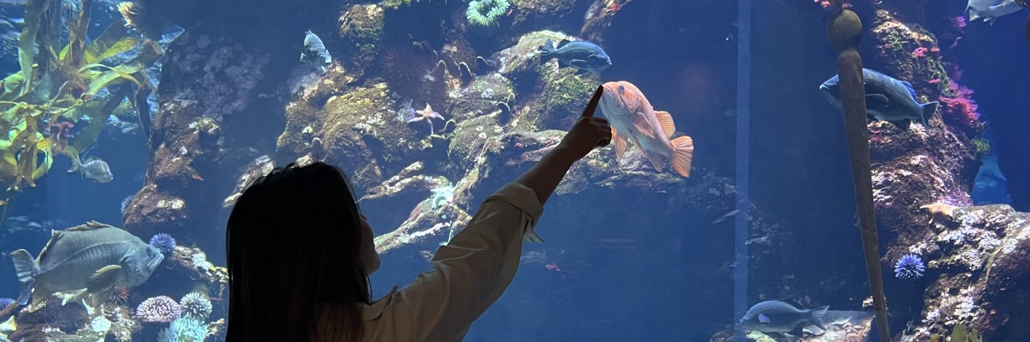 Catherine Kim banner