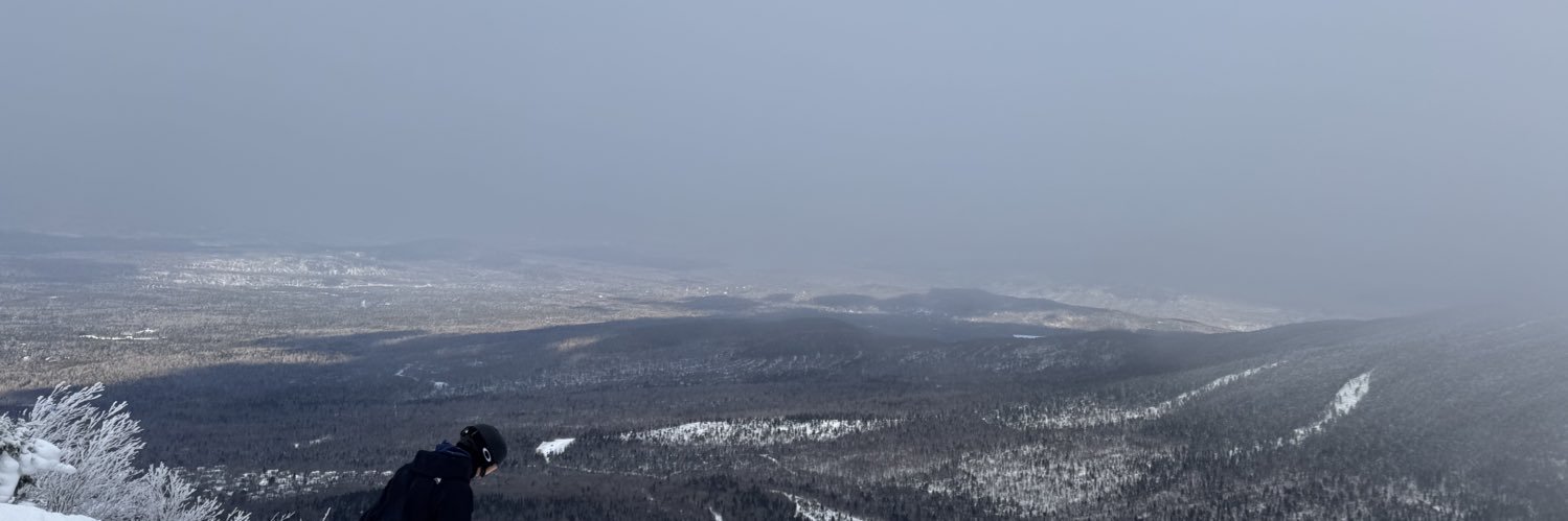 IceRobot banner