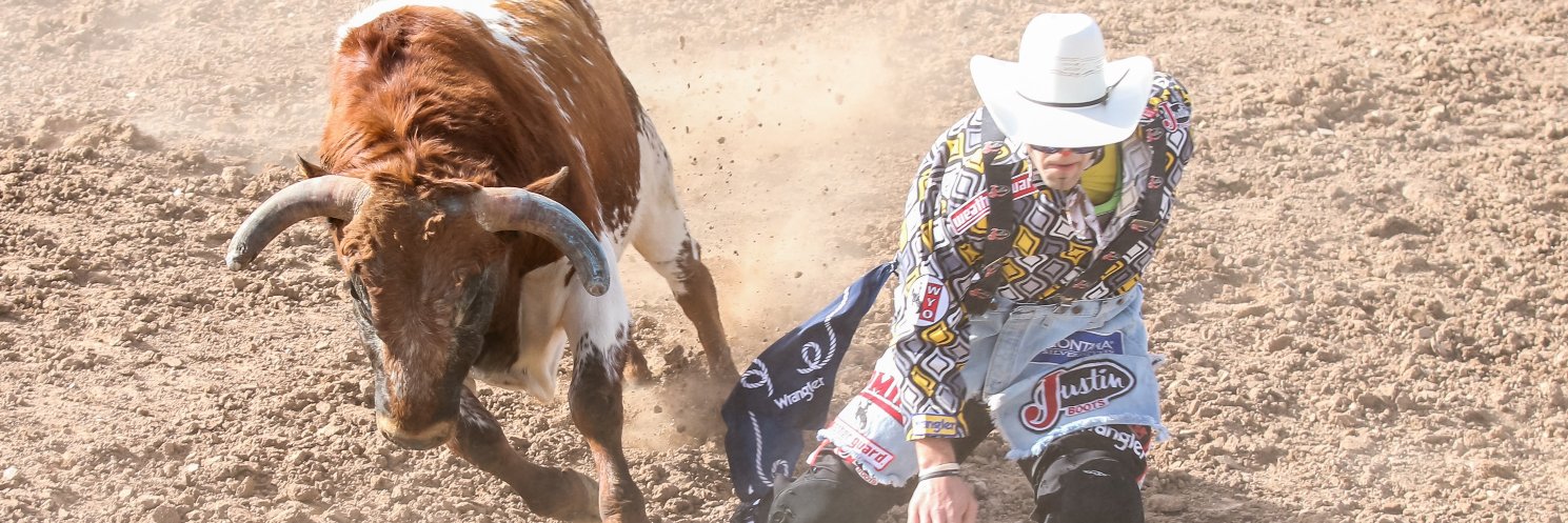 Tucson Rodeo banner