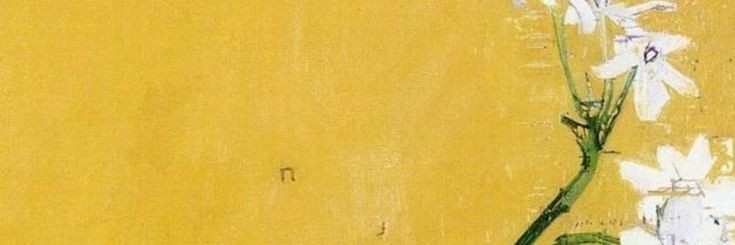 d. banner