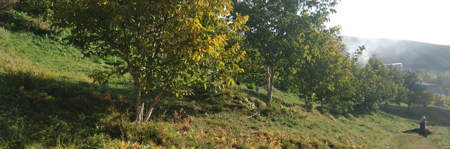 DERWÊŞÊ ÇIYA banner