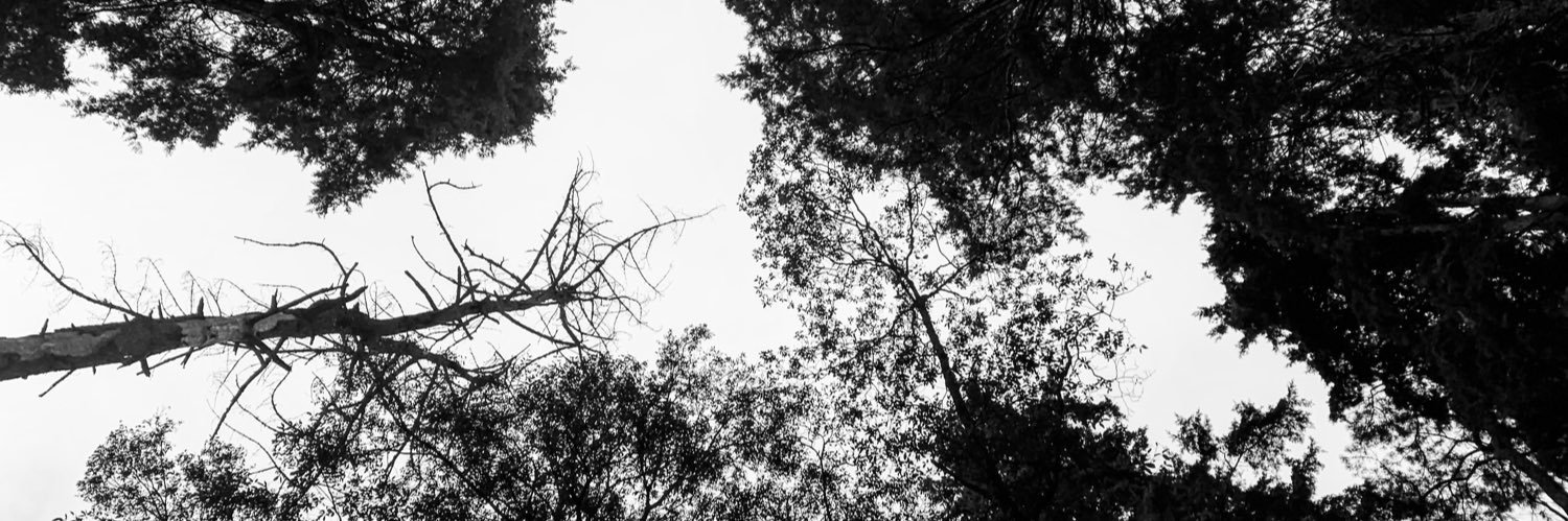 Dannyblanco_'s profile banner image