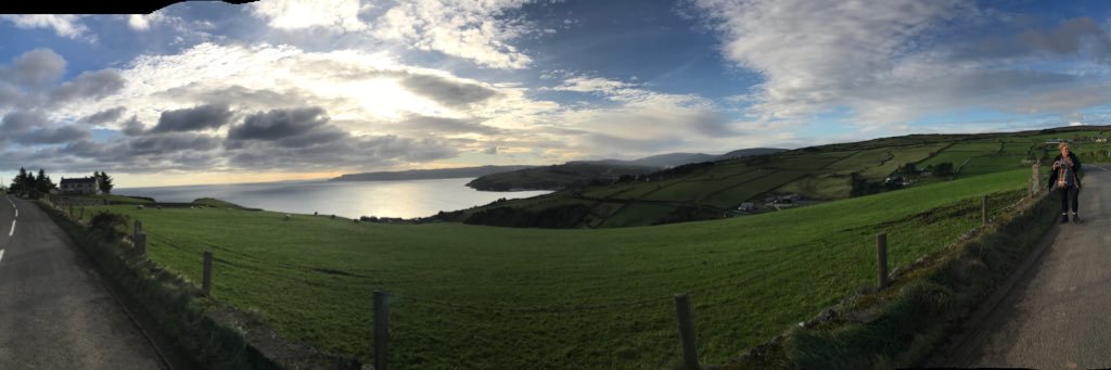 Michael Dalton banner