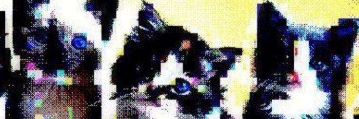 moru0_'s profile banner image