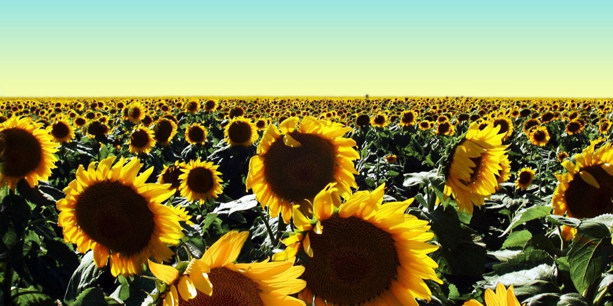 Janieejane's profile banner image