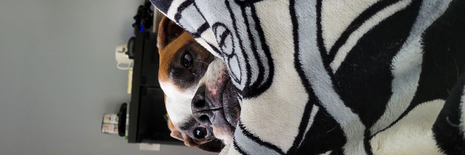 DanLawrence37's profile banner image