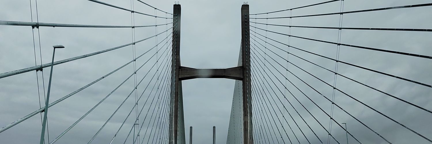 GTAnimal's profile banner image