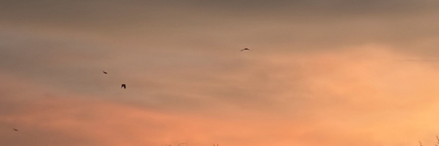 Baipat🌻☀️☁️ banner