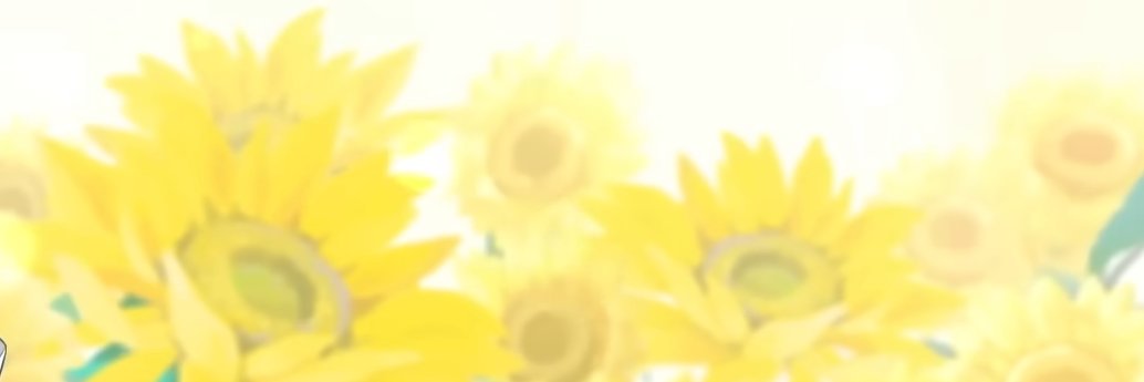 sandronepilled's profile banner image