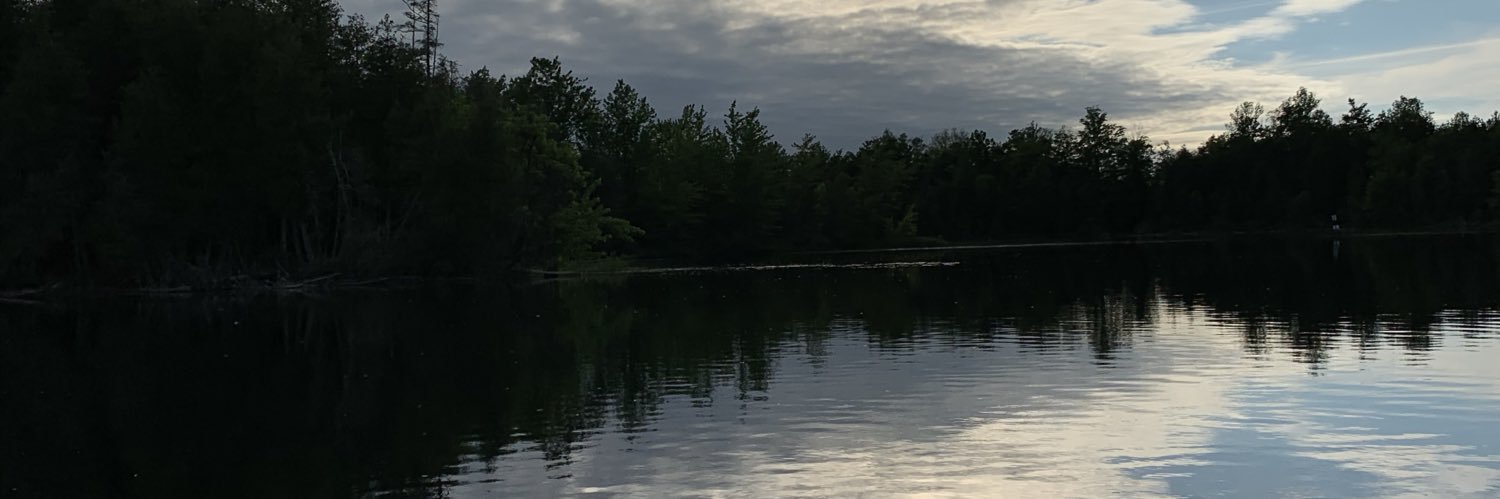 janine165's profile banner image