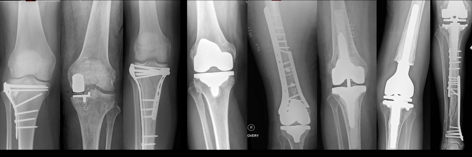 Chloe EH Scott banner