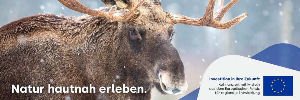 SababurgZoo's profile banner image