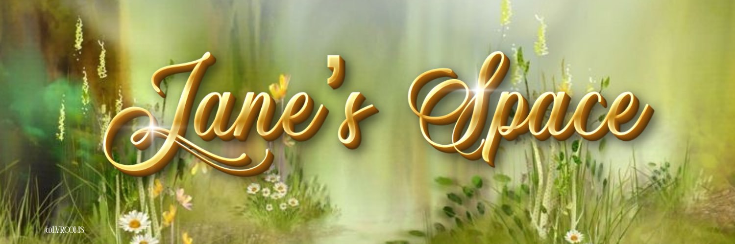 jane ⋆˚࿔ banner
