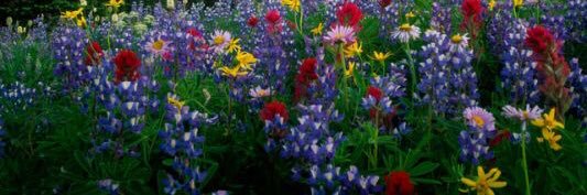 KenaMtz's profile banner image