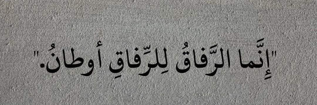 ƙℓαƙℓα 🤍 banner