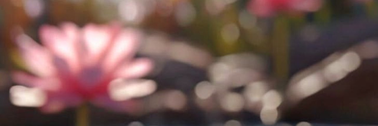 LOTUS L1 FULL HESAP banner