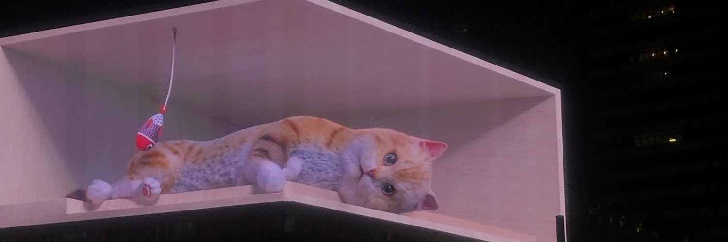 sweetpea banner